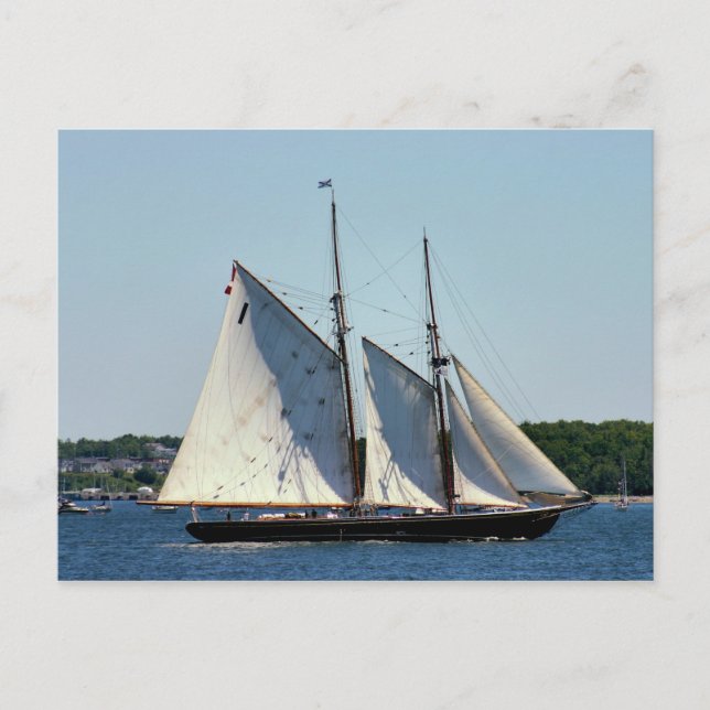 Bluenose II Postcard (Front)