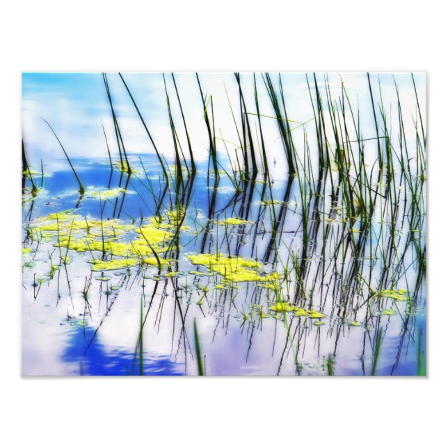 Blues and Grass Photo Print (Front)
