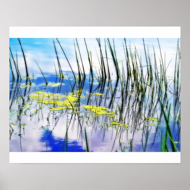 Blues and Grass Poster (Front)