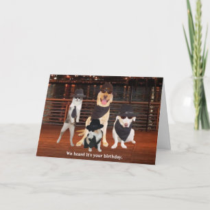 Blues Brothers Dogs & Cats Card