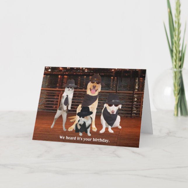 Blues Brothers Dogs & Cats Card (Front)