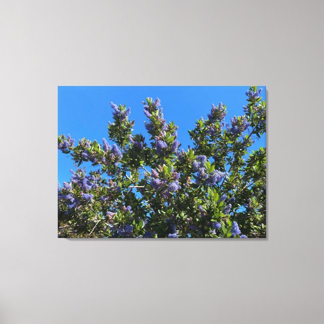 Blues Canvas Print (Front)