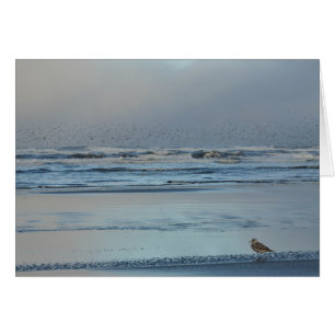 Blues matinales de l'océan Pacifique