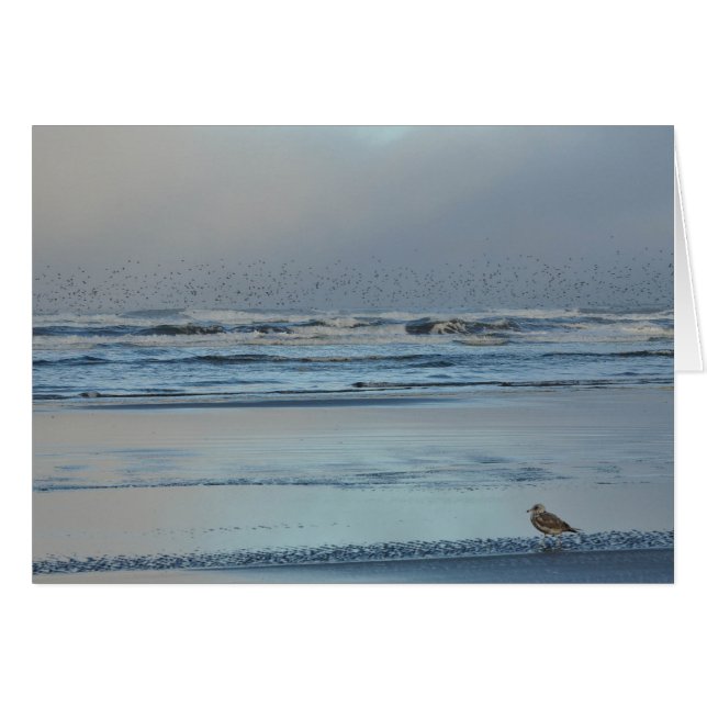 Blues matinales de l'océan Pacifique (Devant horizontal)