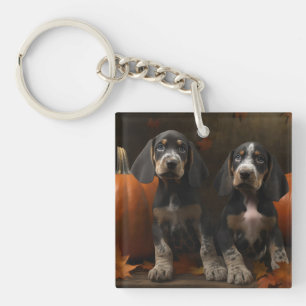 Bluetick Coonhound Chiot Automne Citrouille de pla