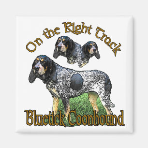Bluetick Coonhound Gifts Magnet
