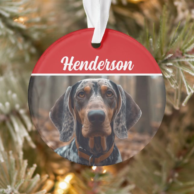 Bluetick Coonhound Nom de la photo Fête Noël (Arbre)