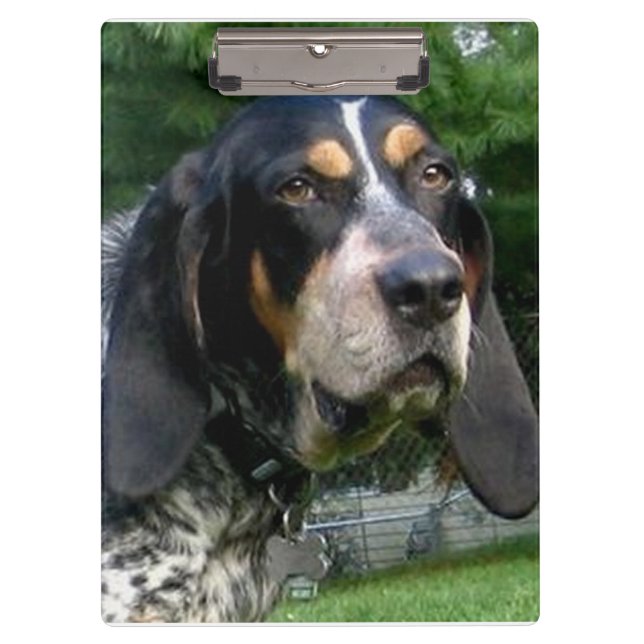 Bluetick Coonhound.png Clipboard (Front)