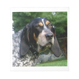Bluetick Coonhound.png Notepad