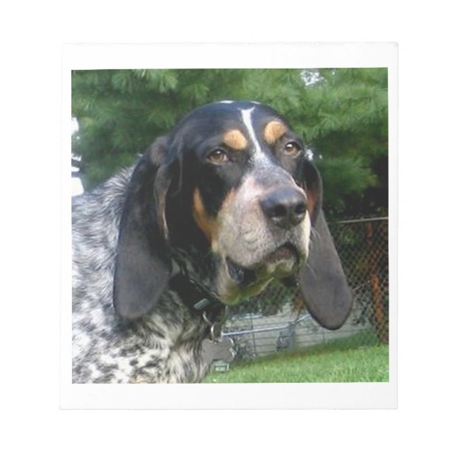 Bluetick Coonhound.png Notepad (Front)