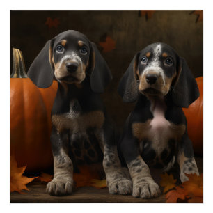 Bluetick Coonhound Puppy Autumn Delight Pumpkin  Poster
