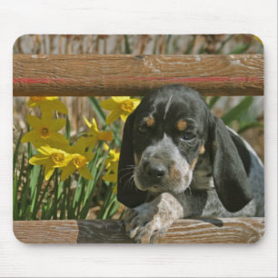 Bluetick puppy mouse pad