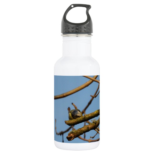Bluetit 532 Ml Water Bottle (Front)
