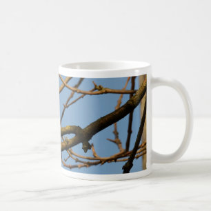 Bluetit Coffee Mug
