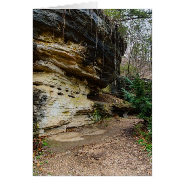 Bluff Lined Walkway (Front)