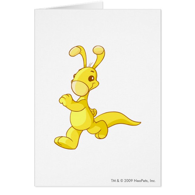 Blumaroo Gold (Front)