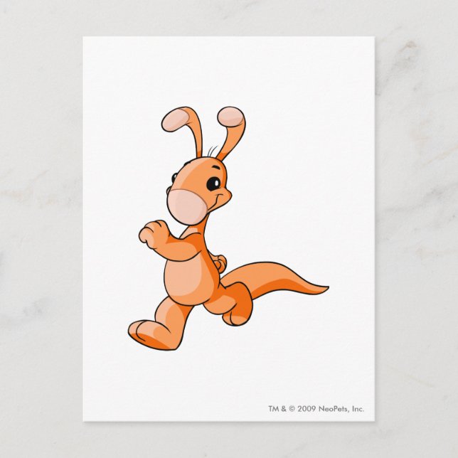 Blumaroo Orange Postcard (Front)