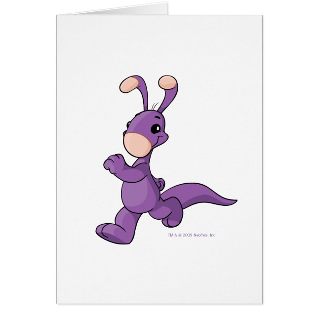 Blumaroo pourpre de marche (Devant)
