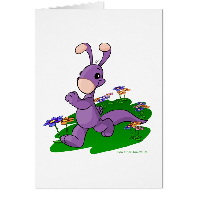 Blumaroo pourpre marchant par l'île de Roo (Devant)