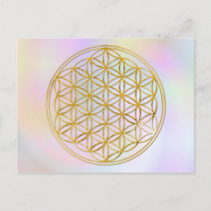 Blume des Lebens   klein pastell Postcard