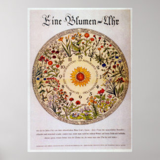 Blumenuhr Flower Clock Poster