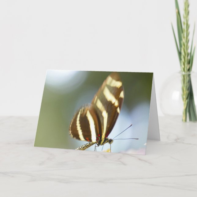 "Blurred Butterfly." Greeting Card (Front)
