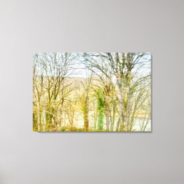 Blurred Forest Landscape with River Canvas Print (Front)