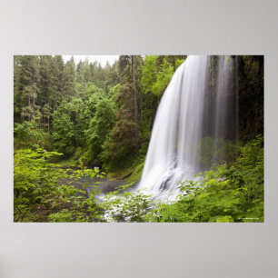 Blurred Waterfall and Forest View in Oregon Poster