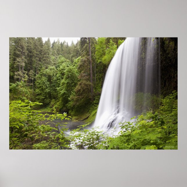 Blurred Waterfall and Forest View in Oregon Poster (Front)