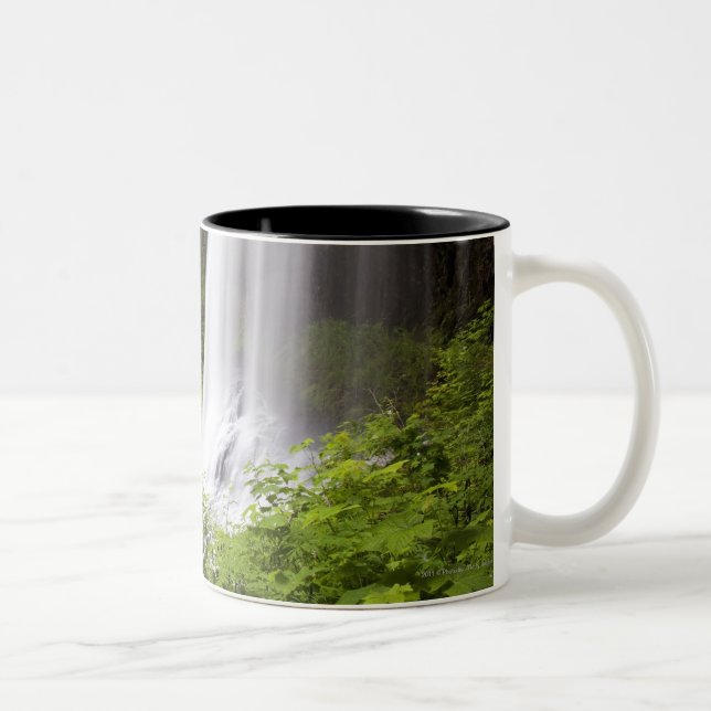 Blurred Waterfall and Forest View in Oregon Two-Tone Coffee Mug (Right)