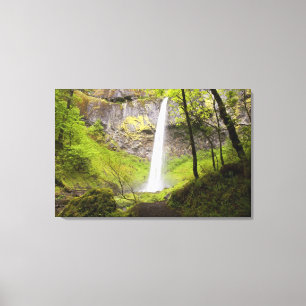 Blurred Waterfall around lush Greenery in Oregon Canvas Print
