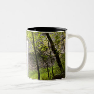 Blurred Waterfall around lush Greenery in Oregon Two-Tone Coffee Mug