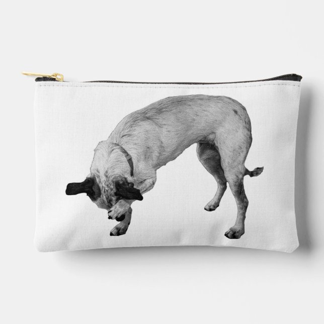 Blush-and-Go Pouch (Front)