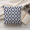 Blush and Navy Diamond Ikat Pattern