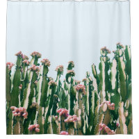 Blush Cactus