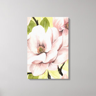 Blush Magnolia Flowers Canvas Print
