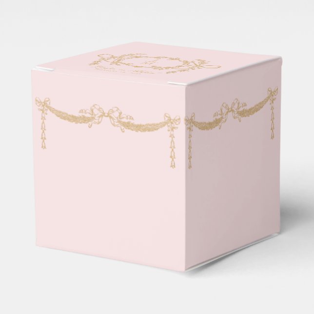 Blush Pink and Gold Wedding Swag Envelope Favor Box (Front Side)