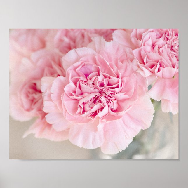 Blush Pink Carnations Poster (Front)