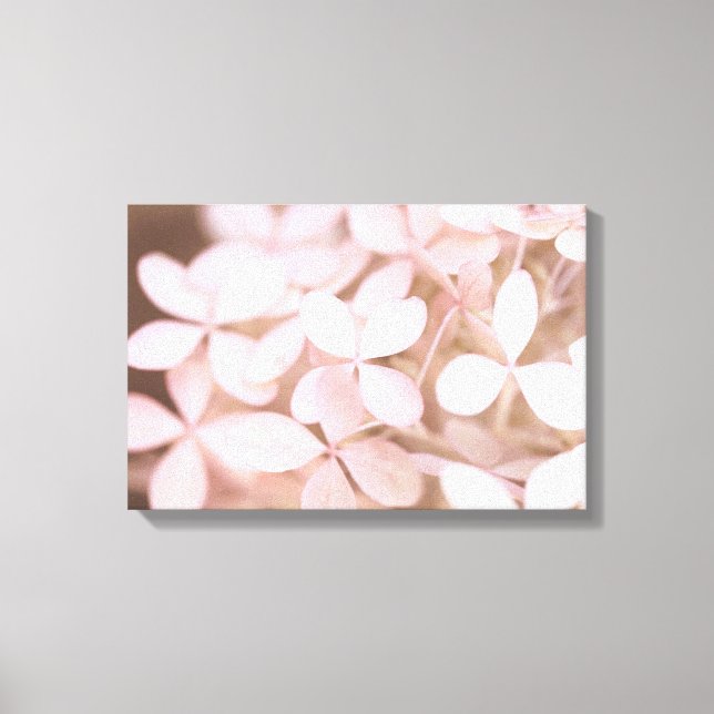 Blush Pink Hydrangea Flower Petals Canvas Print (Front)