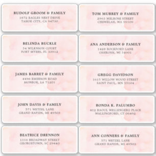 Blush Pink Ivory watercolor Wedding Guest Address
