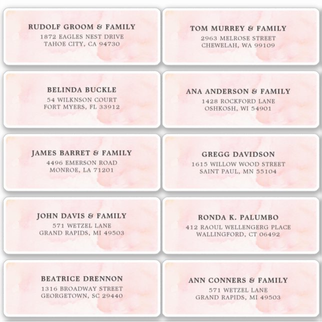 Blush Pink Ivory watercolor Wedding Guest Address (Front)