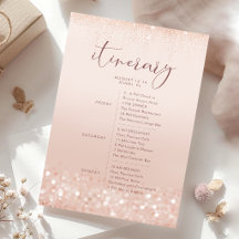 Blush Pink Rose Gold Bridal Shower Itinerary Card