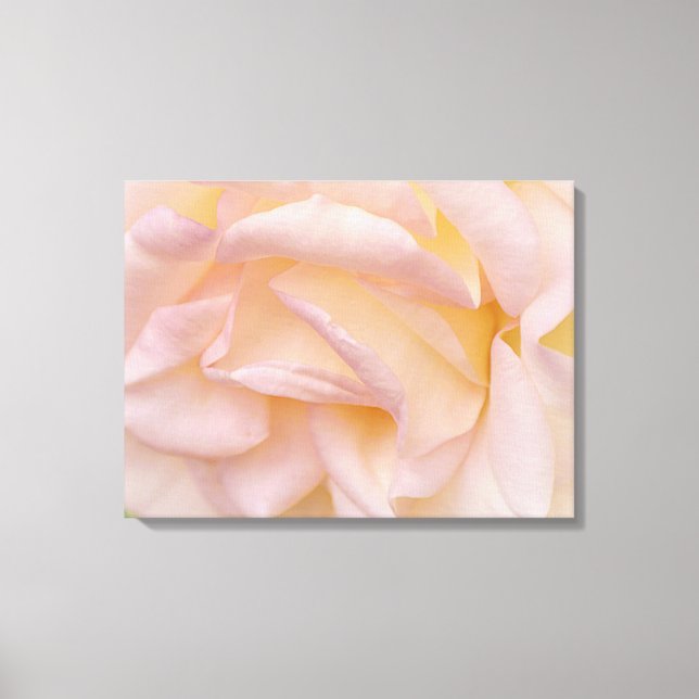 Blush Pink Rose Petals Floral Art Canvas (Front)
