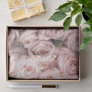 Blush Pink Roses Tissue Paper