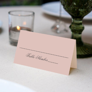 Blush Pink Wedding Guest Table Number Place Card