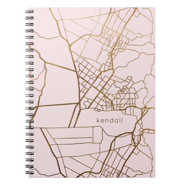 Blush Pink with Gold Look Map and Name Notebook (Front)