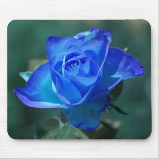Blushed Blue Rose mousePad