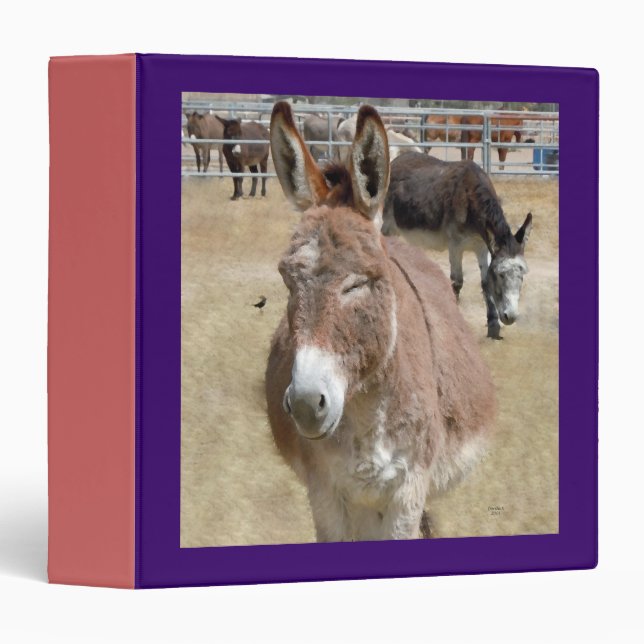 Blushing Burro & Wild Birds Binder (Front/Spine)