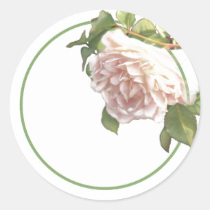 Blushing Ivory Peach Rose Classic Round Sticker