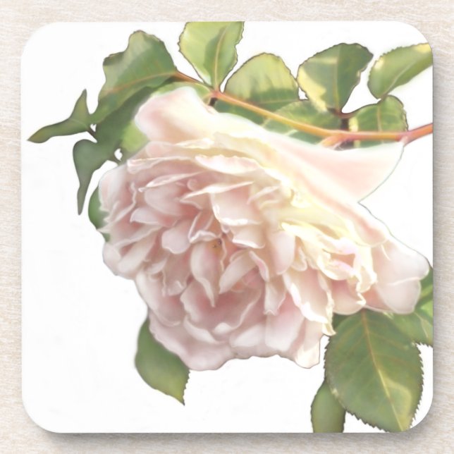 Blushing Ivory Peach Rose Coaster (Front)